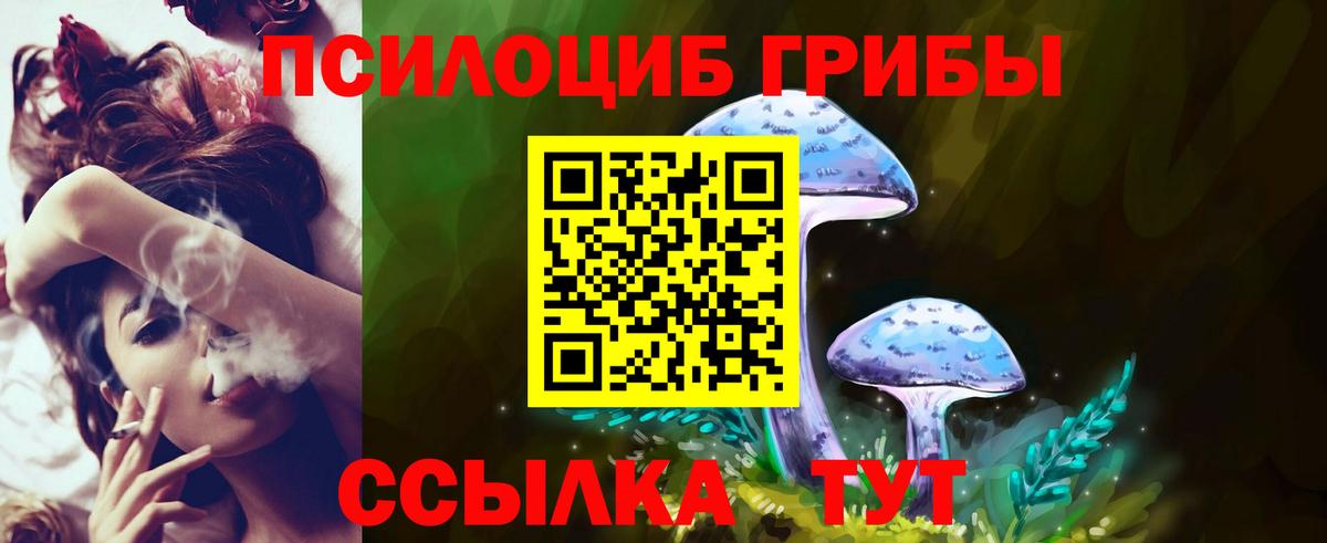 Вольск  Галлюциногенные грибы мухоморы  где можно купить   Вход с VPN 