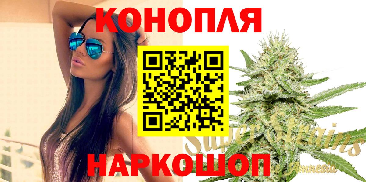 Каннабис план Вольск